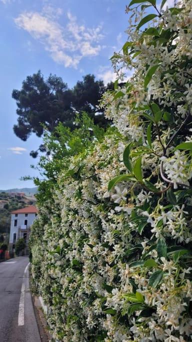 Vista Bella House Apartment Sanremo Luaran gambar